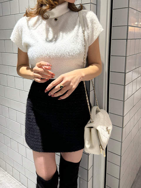 Shiny Skirt